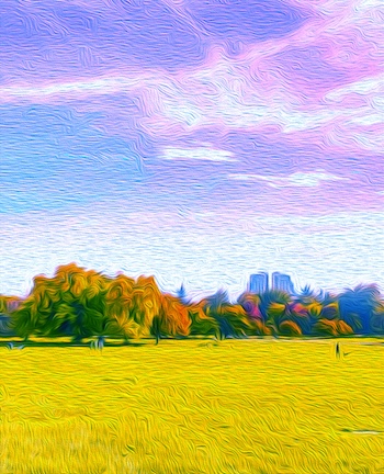 Autumn leaves in the park edited using a texture filter