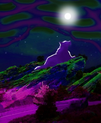 Illustration of a dog sitting on a rock under the moon